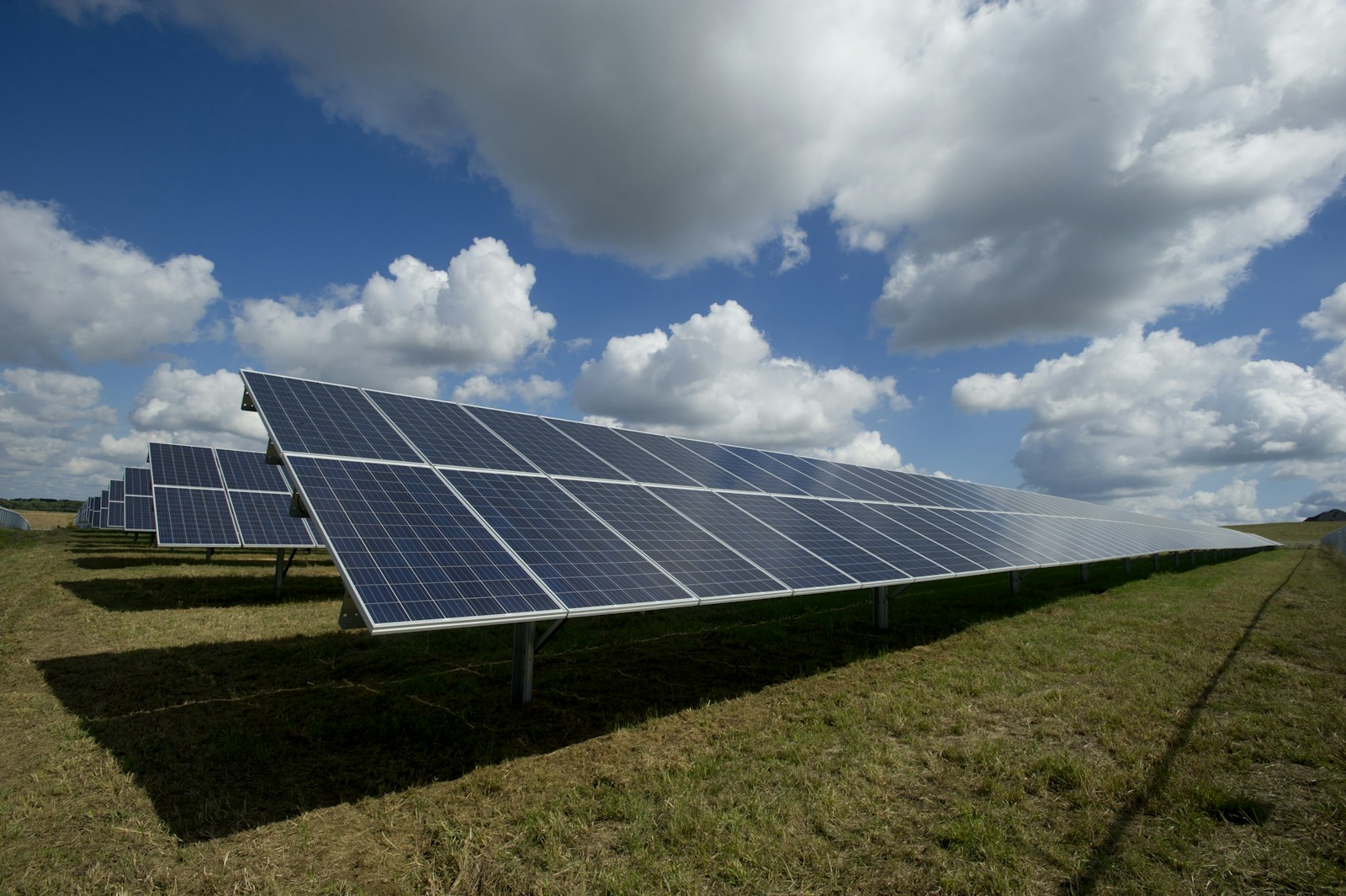 Paneles fotovoltaicos captando la luz del sol